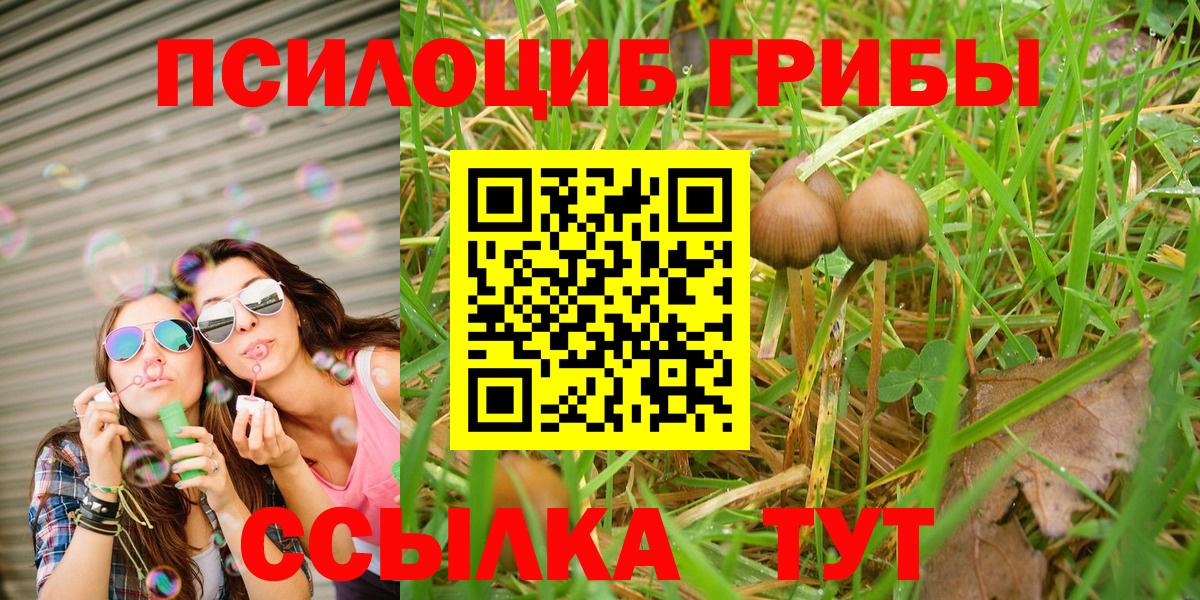 Галлюциногенные грибы мицелий Красный Сулин