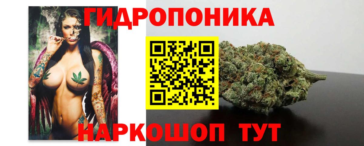 МАРИХУАНА планчик Красный Сулин